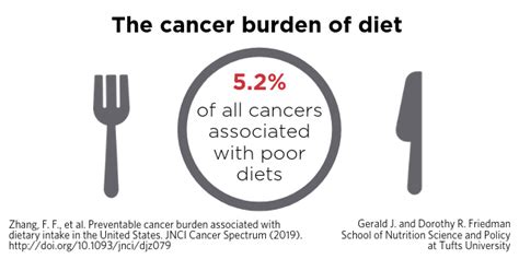 New Study Estimates Preventable Cancer Burden Linked To Poor Diet In