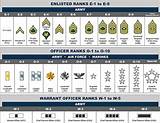 Military Rank Structure Pictures