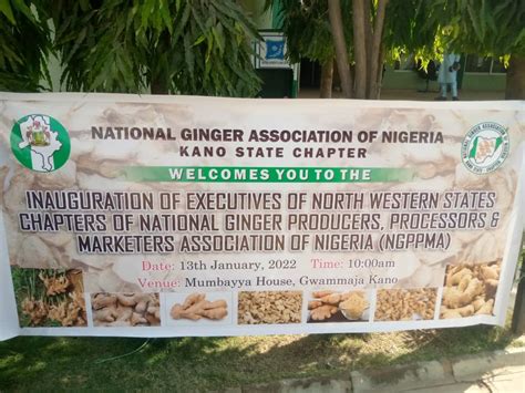 Kano State Government To Boost Ginger Production