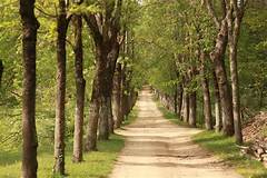 The Path To Fulfillment Why Blessing Israel Brings Joy And Purpose