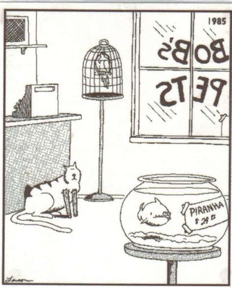 13 Comic Strips Featuring Cats By The Far Side Far Side Cartoons