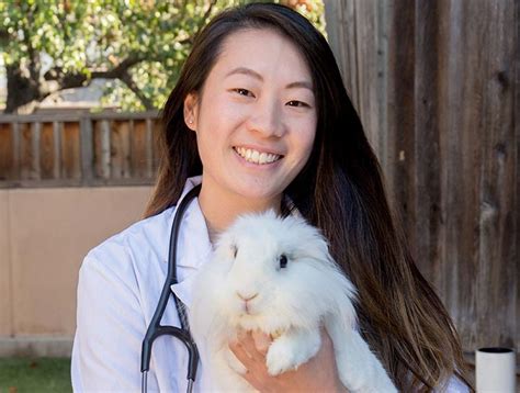 San Jose Small Animal Veterinarian Rabbit Vet