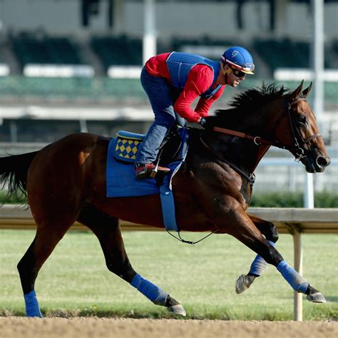Belmont Stakes 2015 Contenders: Horse Pedigree and Jockey Info for Top