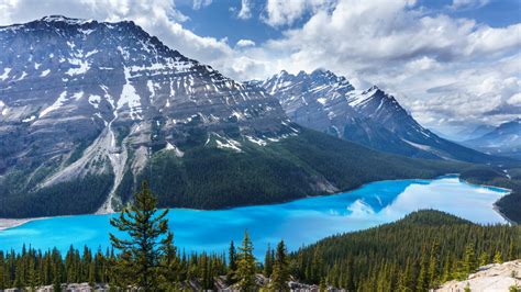 Wallpaper Trees Landscape Mountains Sky Blue Canada National