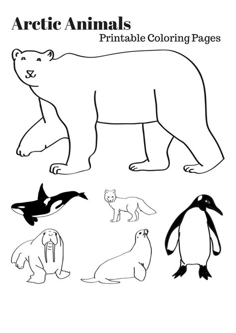 Kids enjoy animal coloring pages with beautiful birds, cats, dogs, and horses. Arctic Animals Printable Coloring Pages (With images ...
