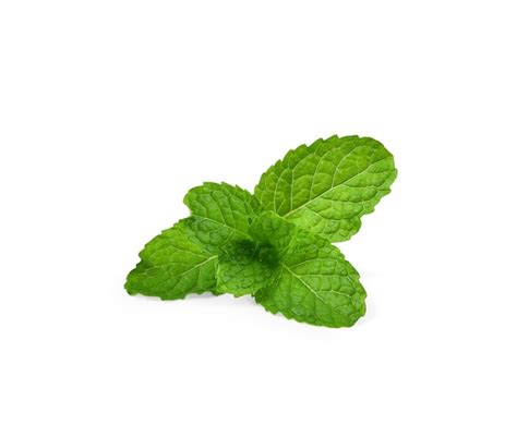 Premium Photo Fresh Spearmint Leaves Isolated On The White Background