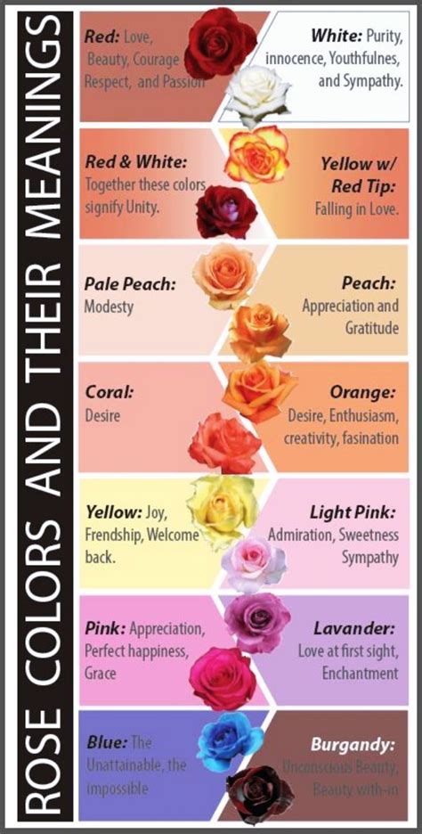 Rose Color Meanings Flower Meanings Flowers And Their Meanings Flowers With Meaning Plant