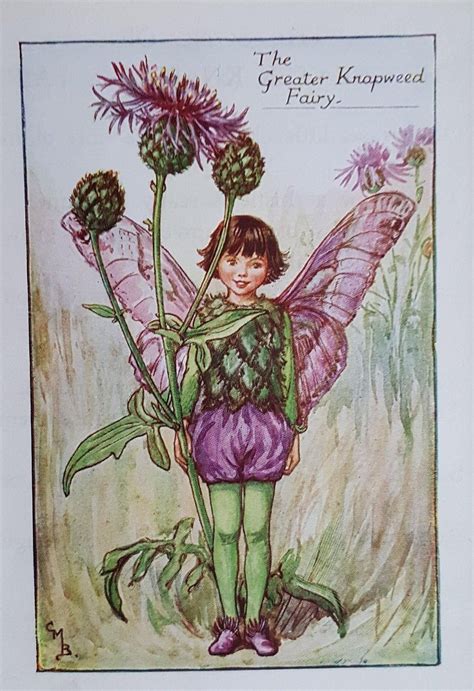 Flower Fairies Books Flower Fairy Cicely Mary Barker Fairy Original
