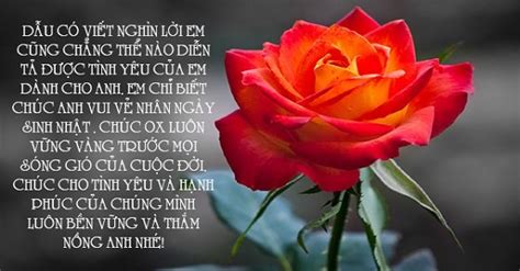 Valentine năm nay và về sau sẽ không chỉ tràn. Tuyển tập 69 lời chúc mừng sinh nhật ý nghĩa dành cho ...