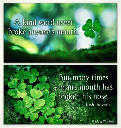 Pin By Pride Of The Irish On Irish Blessings And Such Irish Proverbs