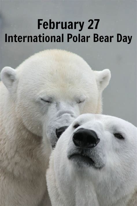 February 27 is the 58th day of the year in the gregorian calendar. International Polar Bear Day - Golden Woofs