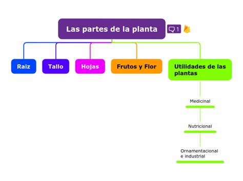 Las Partes De La Planta Mind Map