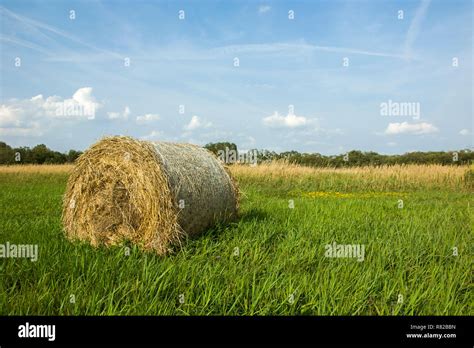 Round Hay Bale Hi Res Stock Photography And Images Alamy