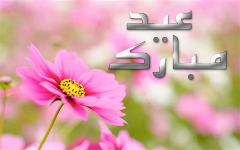 47,014 likes · 19 talking about this. wallpaper proslut: Flowers Eid Mubarak 2012 Cards ...