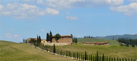 Tuscany Photograph By Mark G Pericot