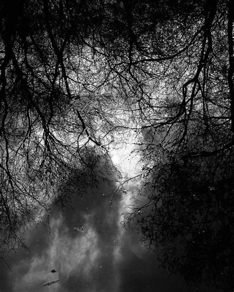 Macabre Photography Spooky Aesthetic Black White