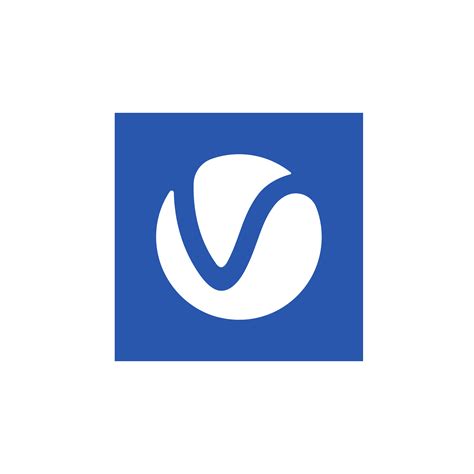 V Ray Logo Real Company Alphabet Letter V Logo