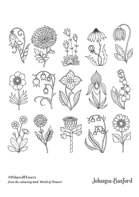 World of flowers by johanna basford pencils: Pin by Becky Bushong on color | Basford coloring book ...