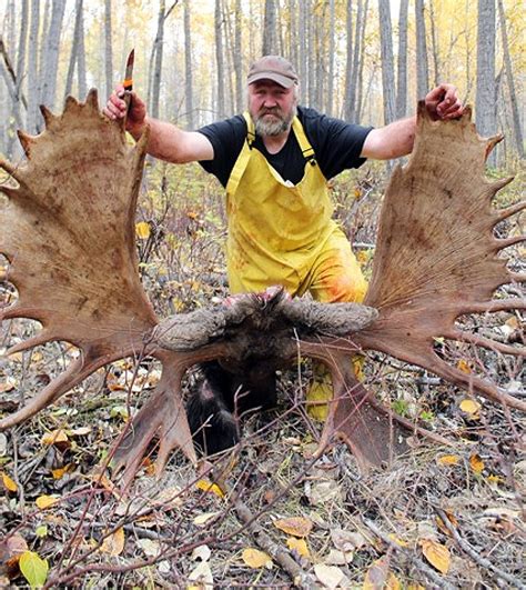 Giant Yukon Moose Confirmed As World Record Cbc News