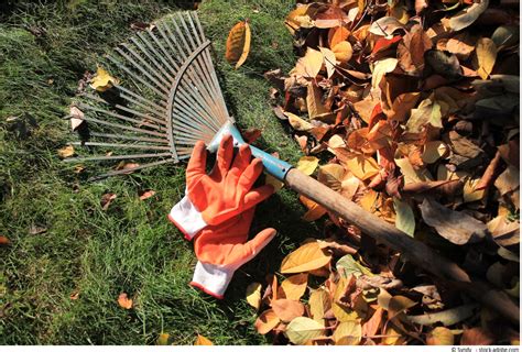 Garten europa zeigt die vielfalt von europas gärten. Der Garten im Oktober - Ein letzter schöner Gartenmonat!