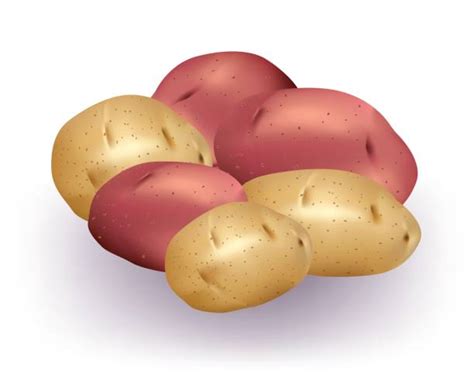 Royalty Free Boiled Potato Clip Art Vector Images And Illustrations Istock