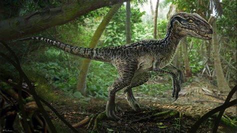 Jurassic World Velociraptor Concept Art Jurassic World Posters