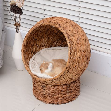 Modern Elevated Cat Bed Find Cat Bedding And Furniture Including