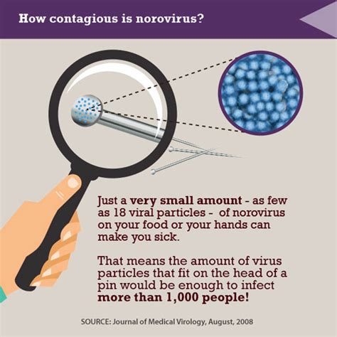 Norovirus