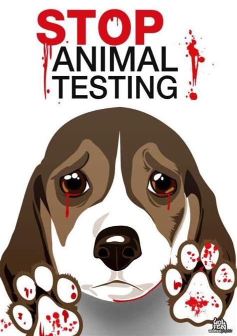 Top 193 End Animal Testing