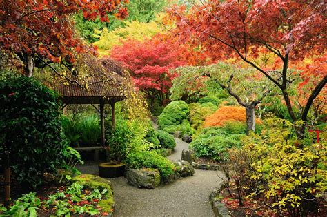 15 Oriental Plants For A Japanese Garden Uk