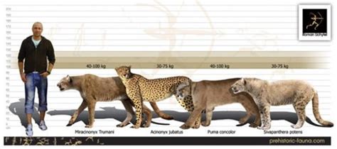 Check spelling or type a new query. Pin on prehistoric artwork