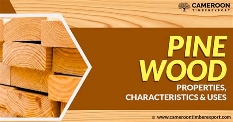 Pine Wood Properties Characteristics And Uses In Detail