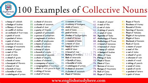 Examples Of Collective Nouns English Study Here