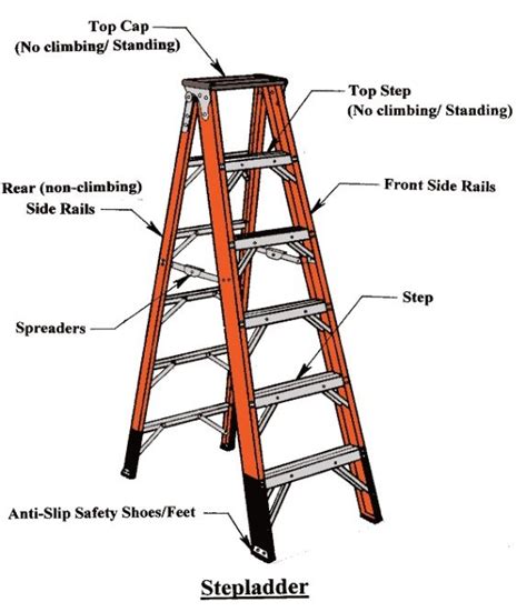 Just leaving this interesting new thing out for the cat may be enough to get the cat to climb it. Stepladder Hire | Scaffolding & Ladders Hire | Hard Hat ...