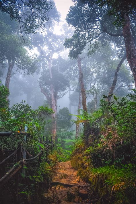 This season was shot in borneo, sabah, malaysia. BAW_5428 | Borneo rainforest, Beautiful nature, Rainforest