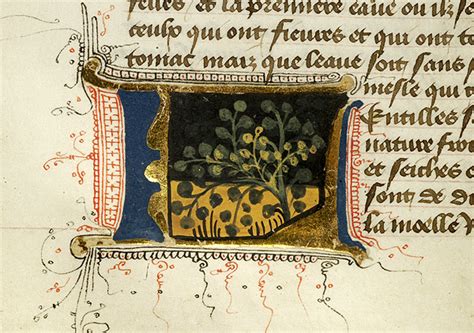 Our team will contact you shortly. Régime du corps, MS M.0165 fol. 78v - Images from Medieval ...