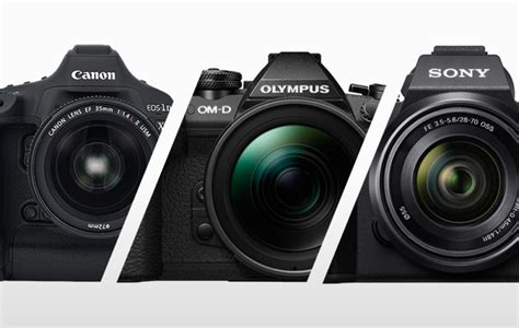 Best Cameras For Wildlife Photography ⋆ Outdoor Enthusiast Lifestyle