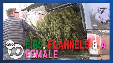 Lesbian Lumberjack Picking Up Christmas Trees For Lgbt Center Fundraiser