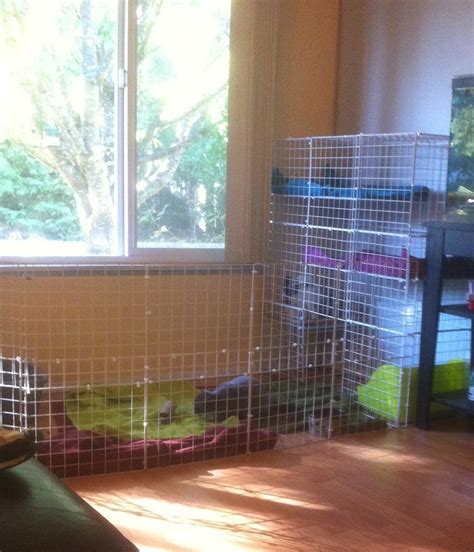 So, the question arises how to build an indoor rabbit cage? 25 best DIY rabbit cage images on Pinterest | Rabbit ...