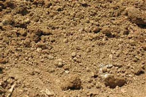 Fill dirt is often used for filling holes or changing the elevation in your yard and often goes beneath topsoil. Topsoil, Mulch, and Compost | Landscape Supply Delivery ...
