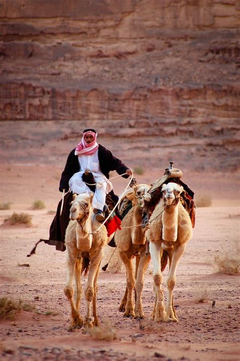 Nerdwallet is a personal finance company that helps consumers make smarter financial decisions. 164 best images about Bible Abraham's Tent on Pinterest ...