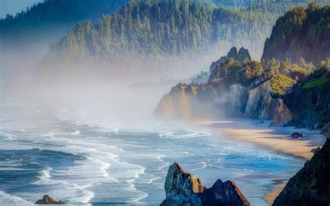 Nature Landscape Mist Beach Sea Oregon Forest Cliff Sunrise