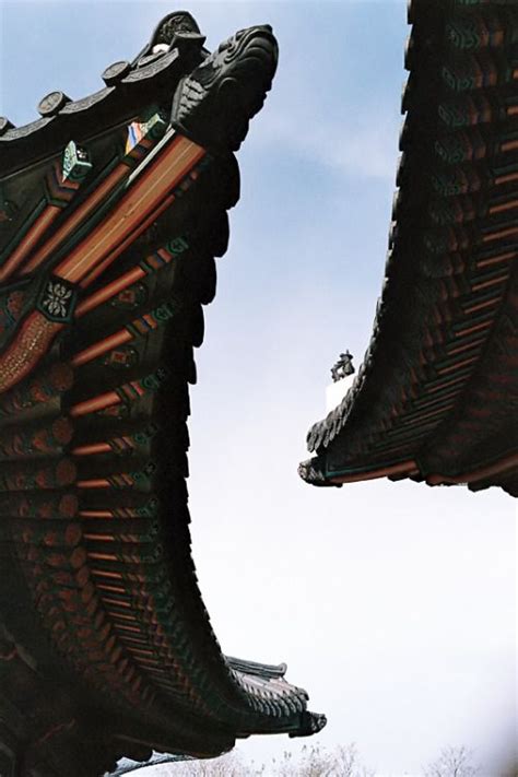 Psyychedelic Temple Roofs Japan Chinese Roof Zhou Dynasty