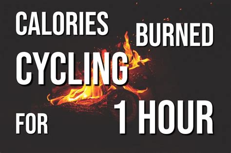 calories burned cycling for 1 hour here s the quick answer