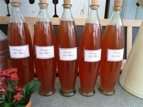 Épinglé sur Vinaigre