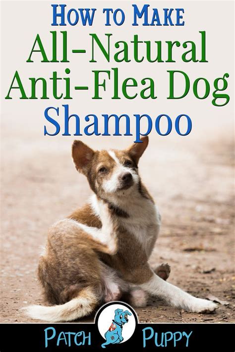 This diy shampoo bar requires only four ingredients, can be customized with your favorite oils and fragrance, and makes a great gift! DIY Dog Flea Shampoo - A Home Remedy that Works | Dog ...