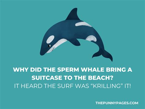 100 Funny Whale Jokes And Puns