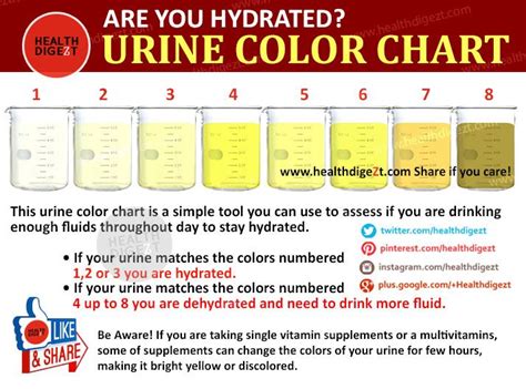 Use this urine colour chart to assess how hydrated you are. Are You Hydrated? Urine Color Chart www.healthdigeZt.com | Daily health tips, How to stay ...