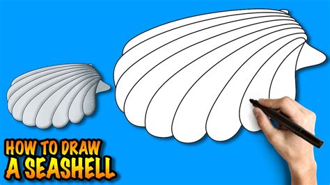 How To Draw A Seashell Easy Step By Step Drawing Tuturial Youtube