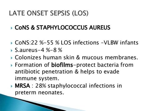 Listeria Rash Neonate Escherichia Coli And Group B Streptococcus